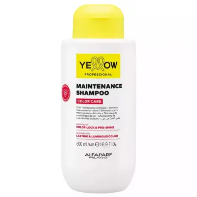 Yellow Color Care Maintenance Shampoo Шампунь для захисту кольору фарбованого волосся